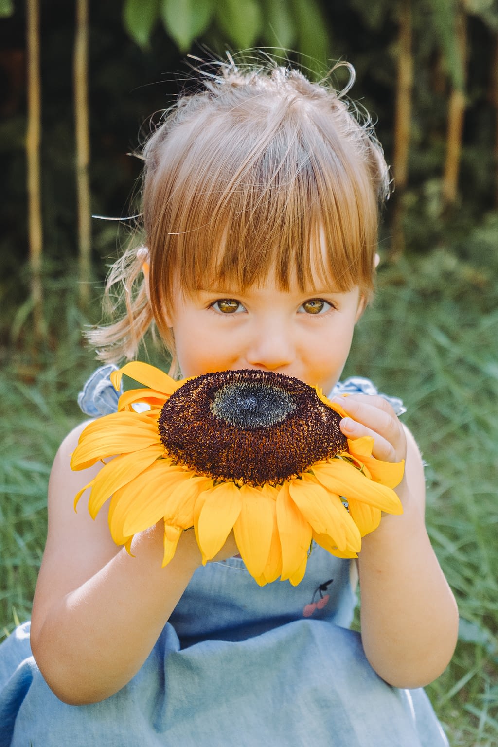 Photographie d'une petite fille avec un tournesol plus grand que sa tête. On ne voit que ses yeux